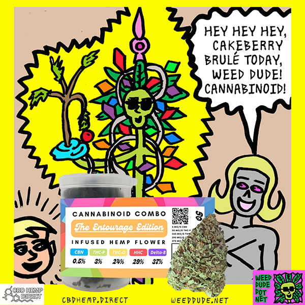 Weed Dude Reviews - CBD Direct - Cannabinoid Combo