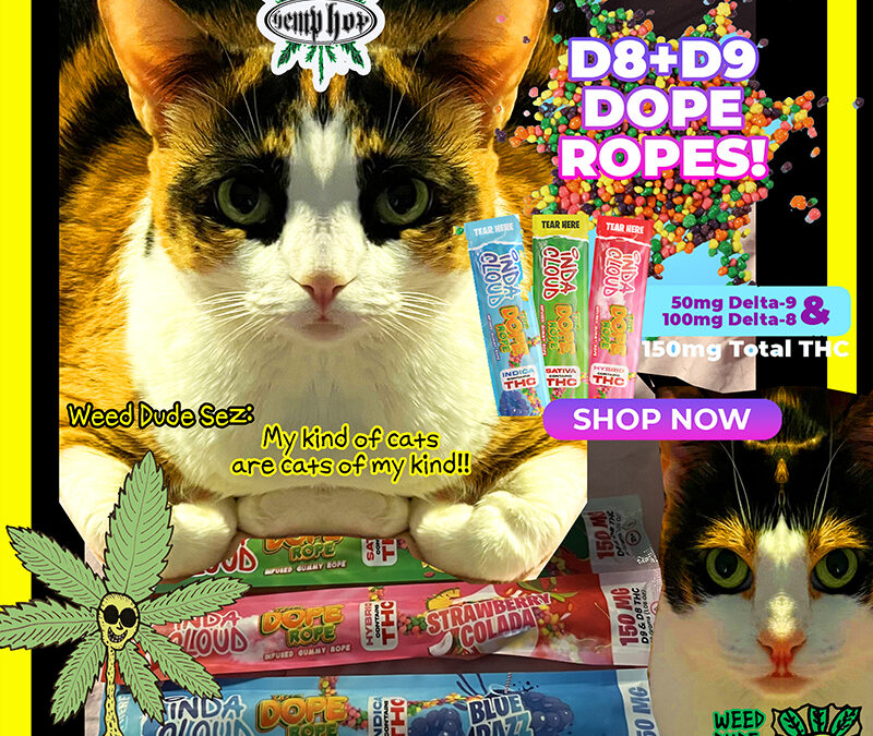 Indacloud Dope Ropes!
