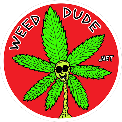 Weed Dude Dot Net sticker by Mike Diana