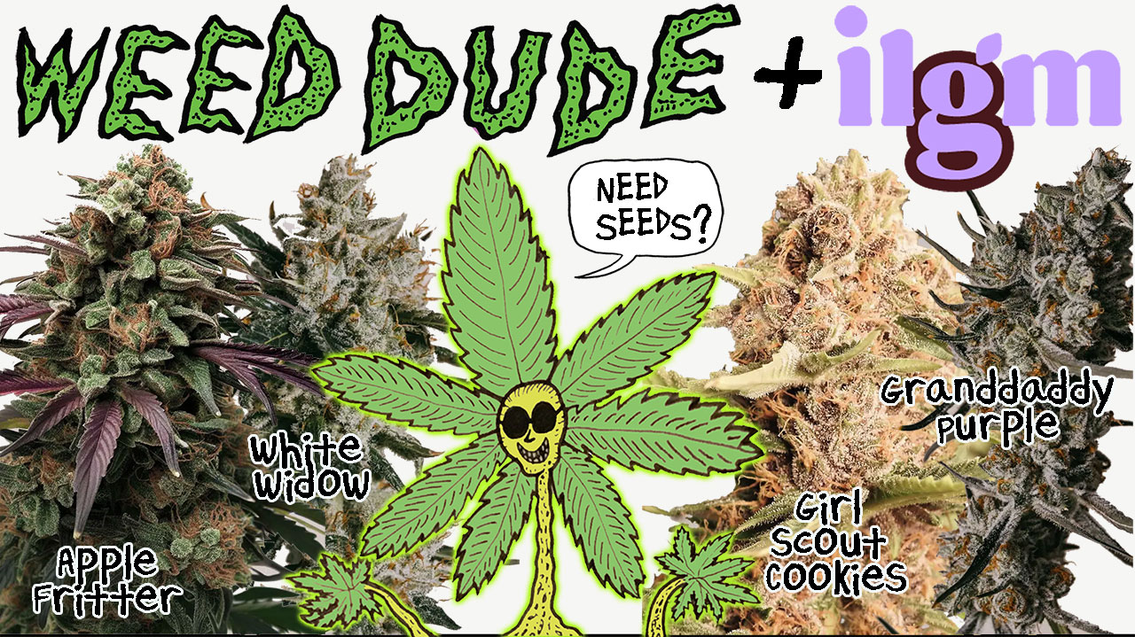 Weed Dude + ILGM